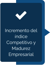 Incremento del índice Competitivo y Madurez Empresarial